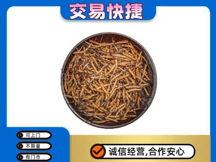 甘孜高价回收散虫草